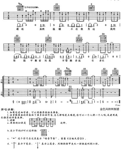 陌生海岸