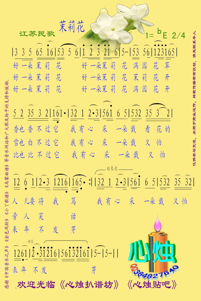 茉莉花