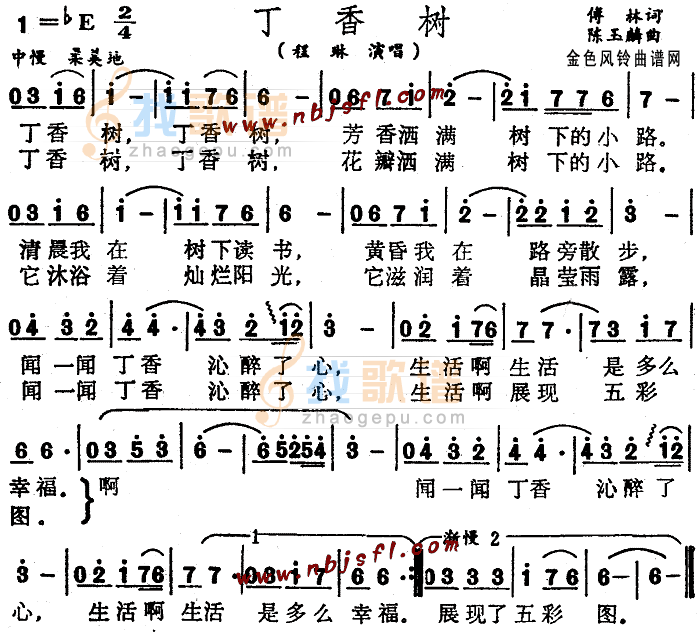 丁香树