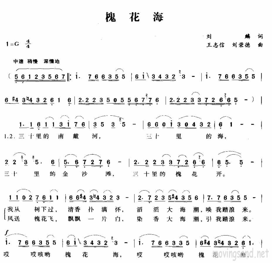 槐花海