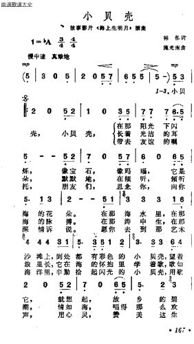 小贝壳
