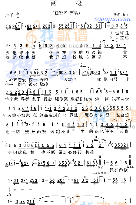 两极