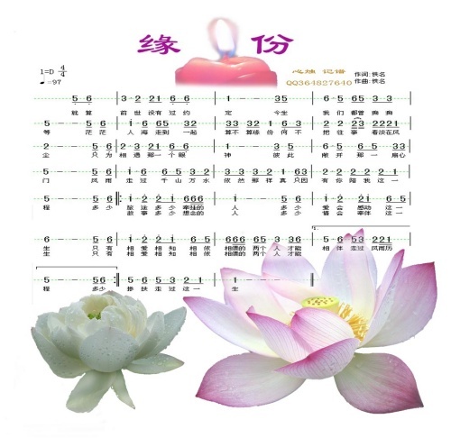 缘份