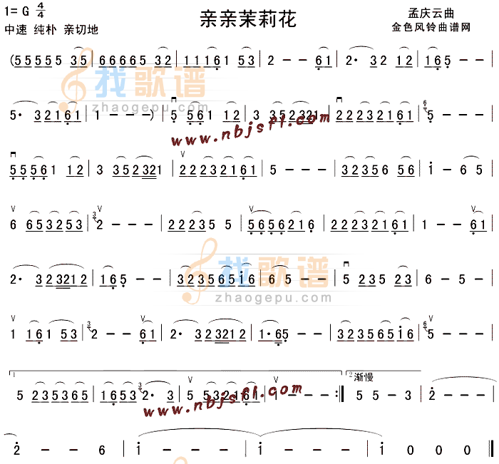亲亲茉莉花