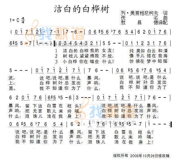 洁白的白桦树
