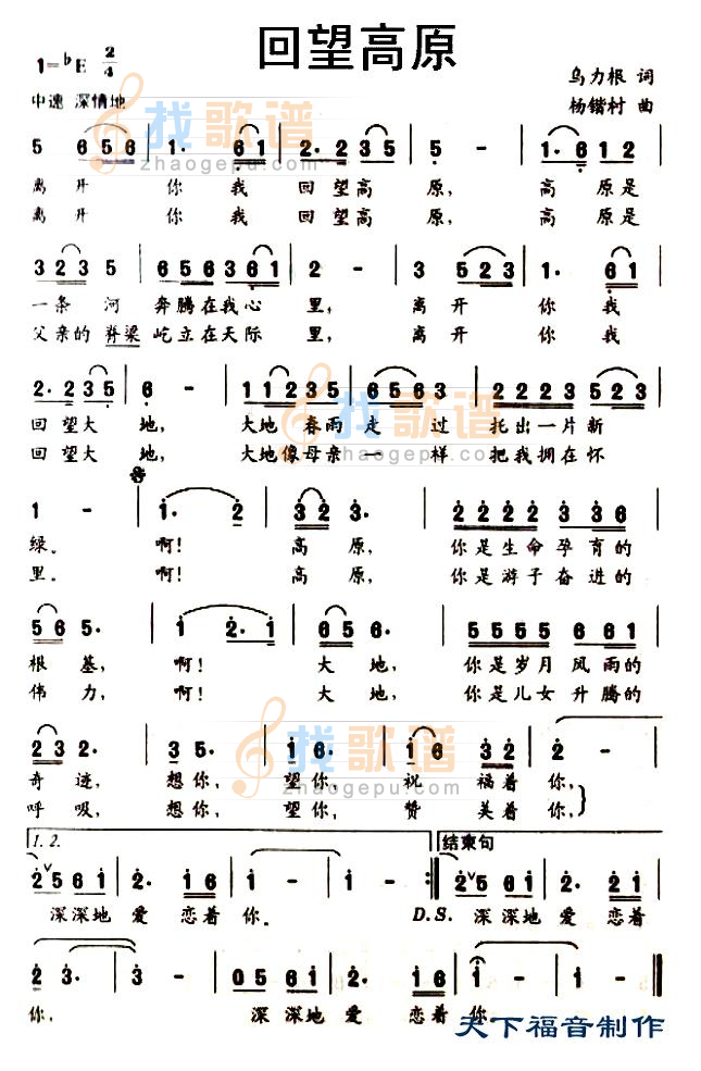 回望高原