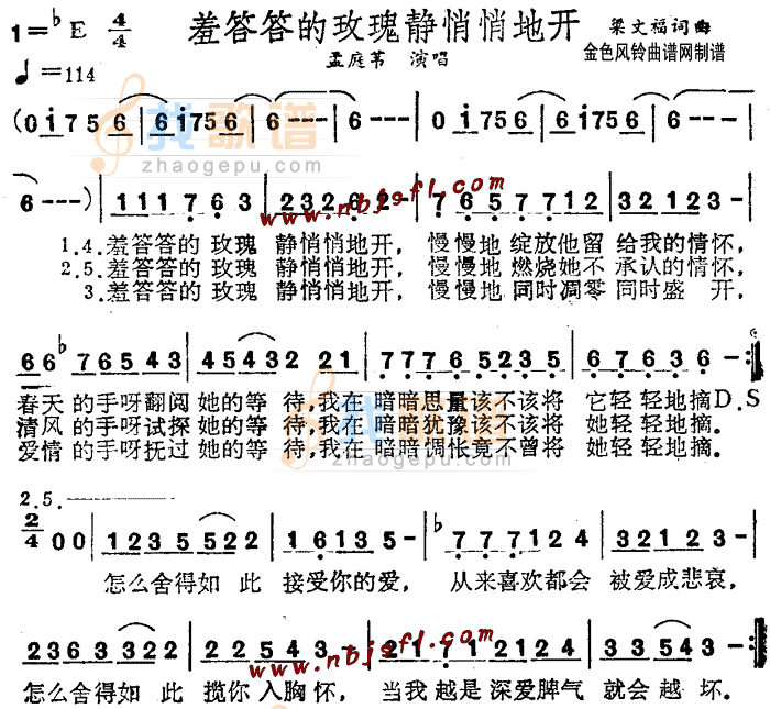 羞答答的玫瑰静悄悄地开