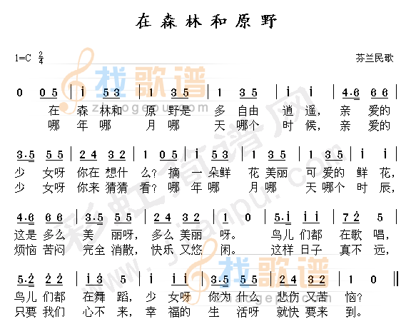 在森林和原野