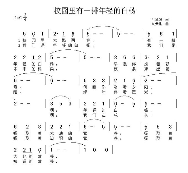 年轻的白杨