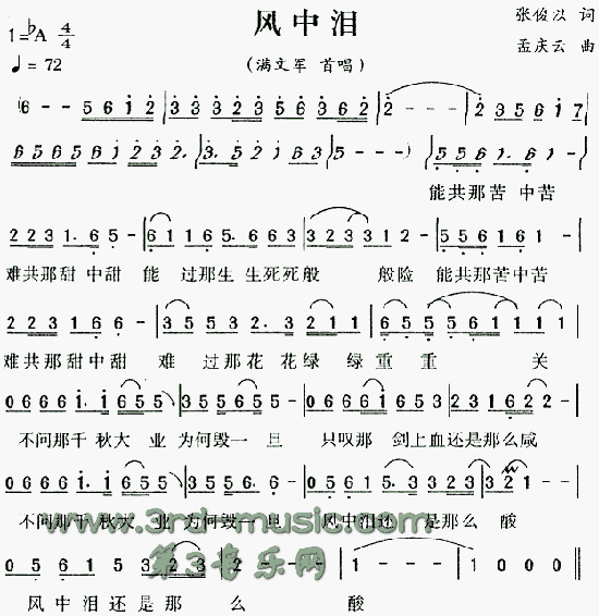 风中泪