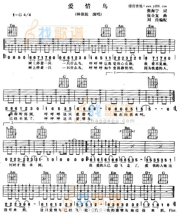 爱情鸟