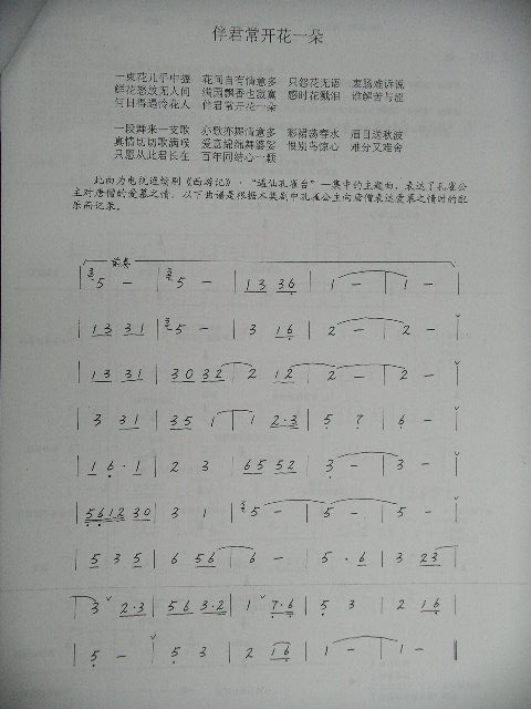 伴君常开花一朵 西游记