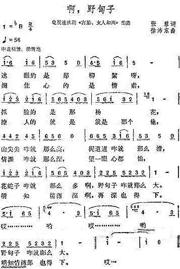 啊，野甸子(电视剧古船·女人和网插曲)