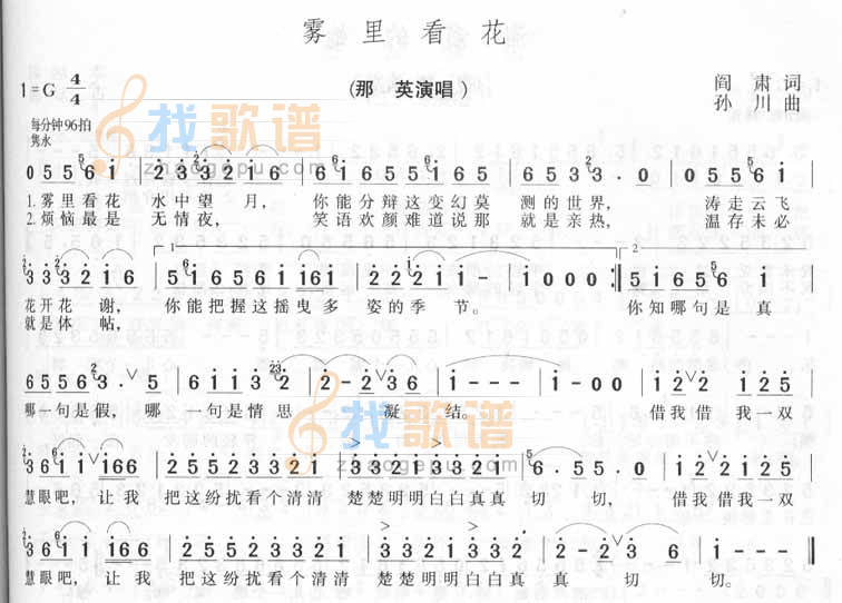 雾里看花