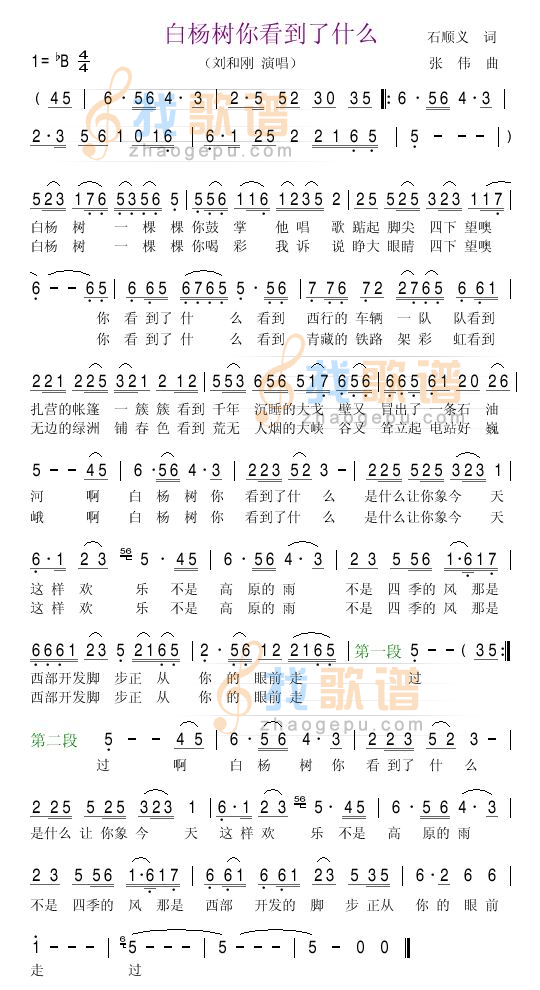 白杨树你看到了什么