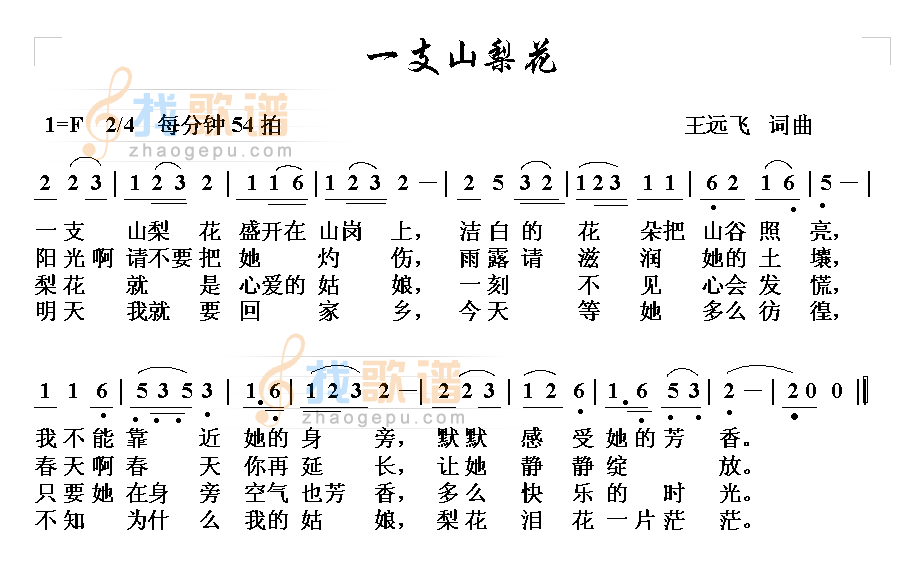一支山梨花