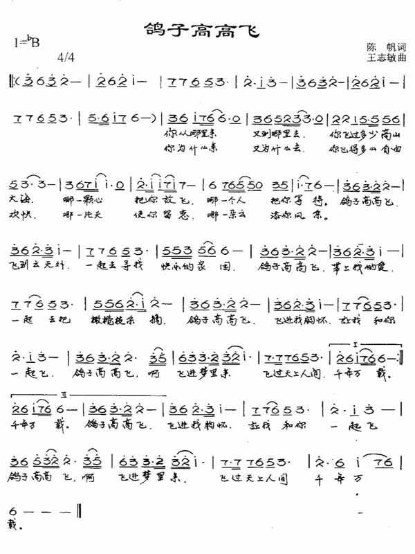 鸽子高高飞