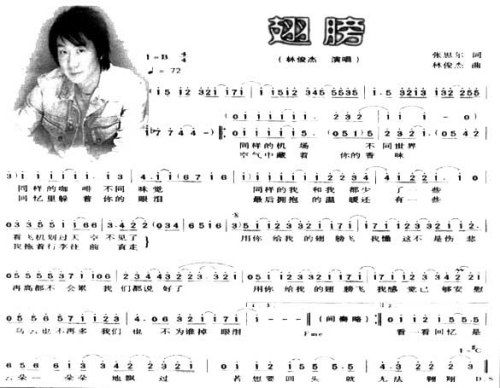 翅膀*