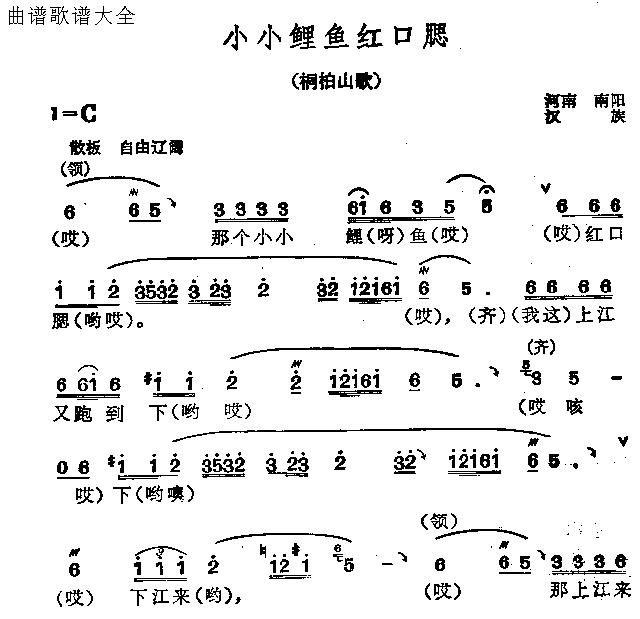 小小鲤鱼红口腮