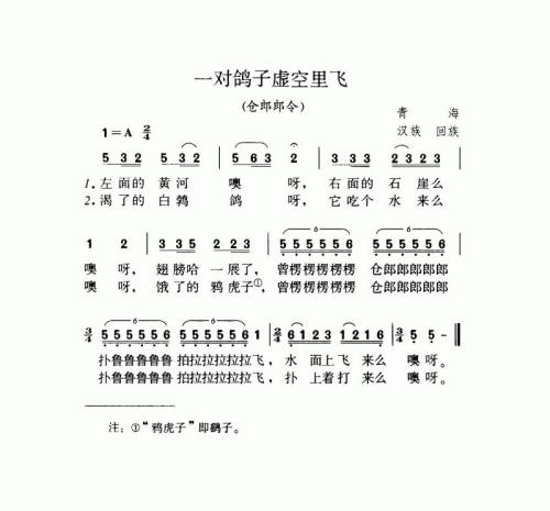一对鸽子虚空里飞