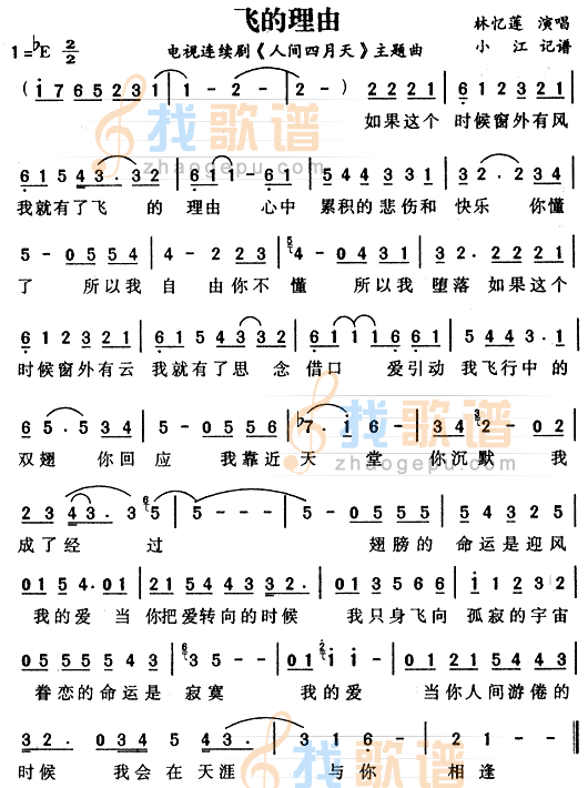飞的理由