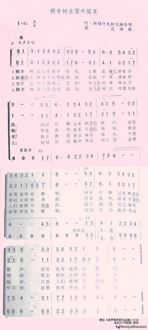 稠李树在窗外摇晃