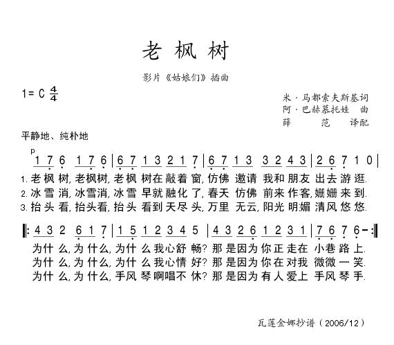 老枫树