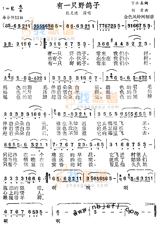 有一只野鸽子