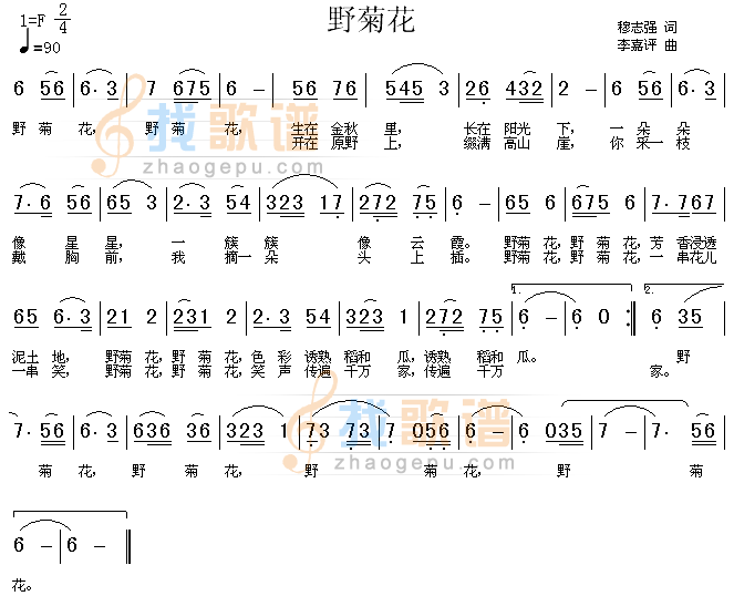 野菊花