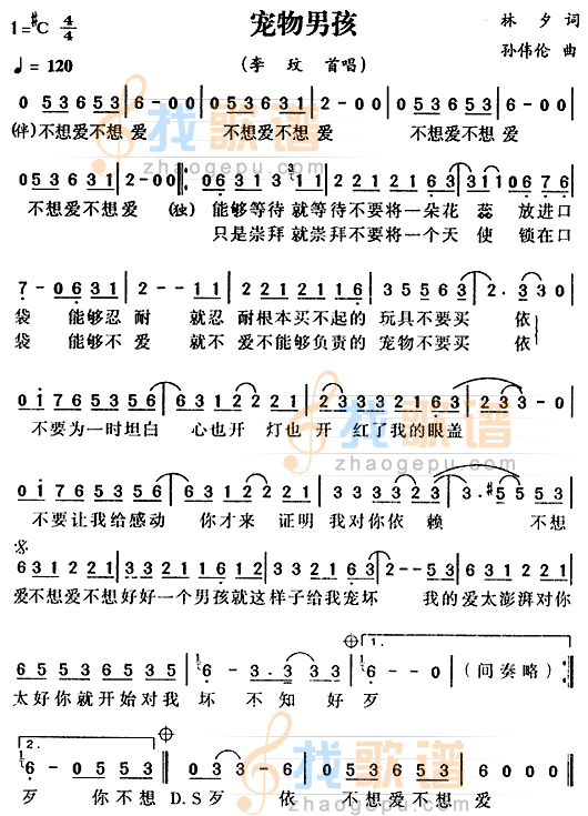 宠物男孩