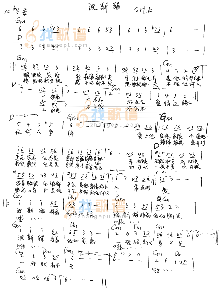 波斯猫