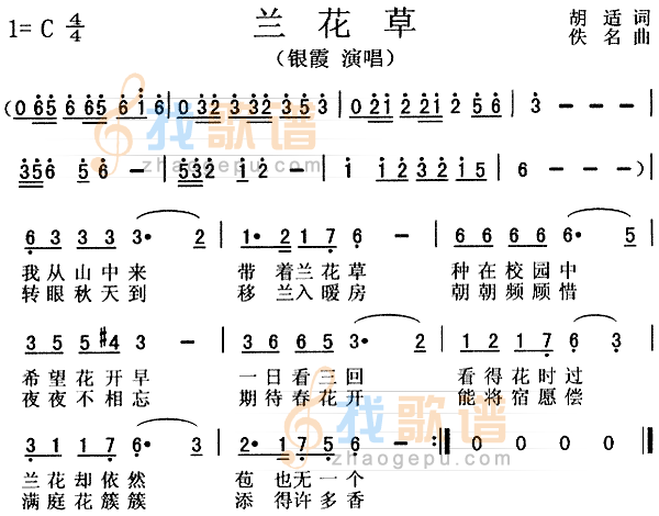 兰花草