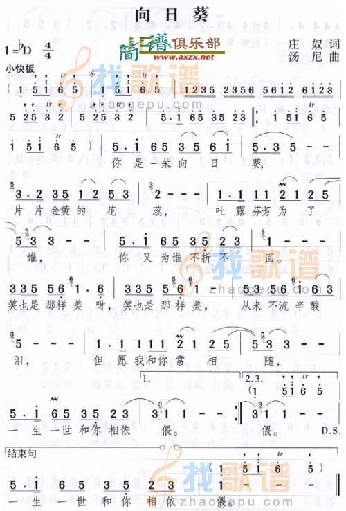 向日葵