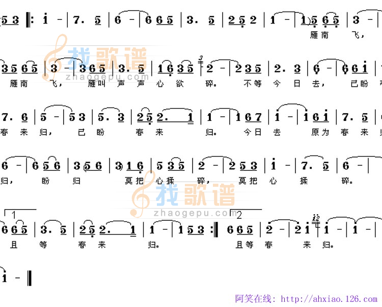 雁南飞