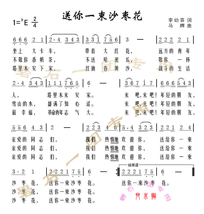 送你一束沙枣花