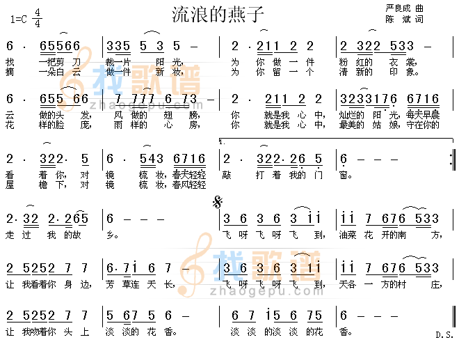 流浪的燕子