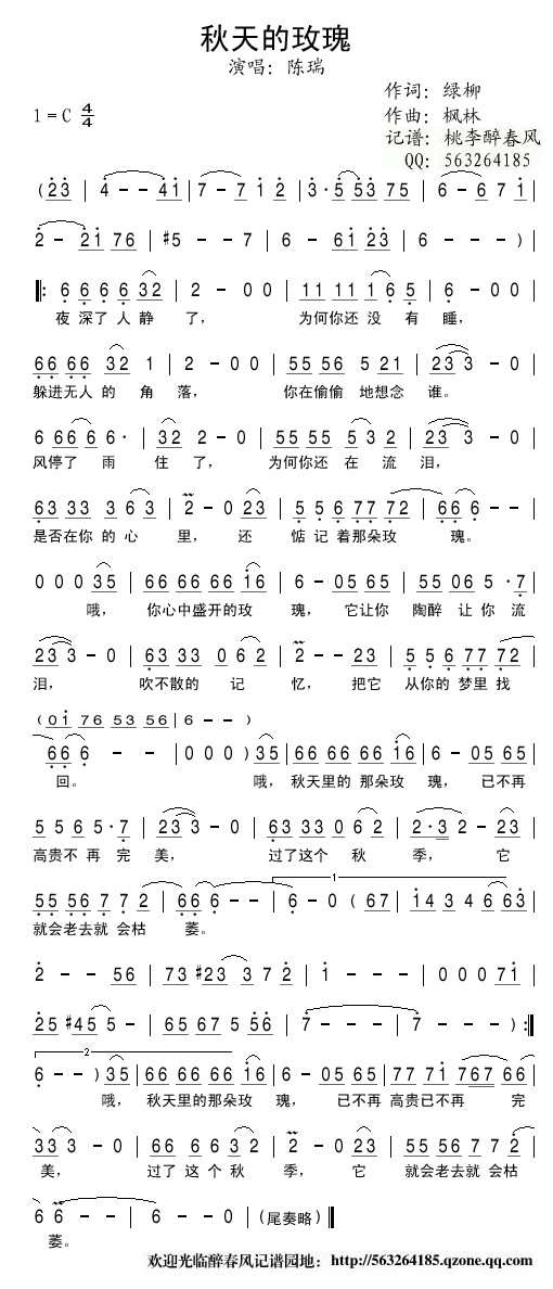 秋天的玫瑰