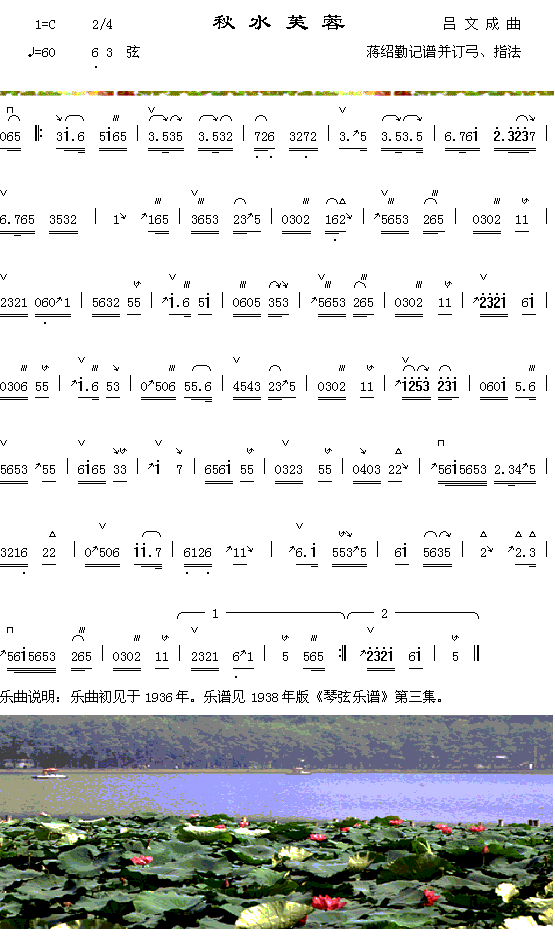 秋水芙蓉