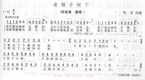 老椰子树下