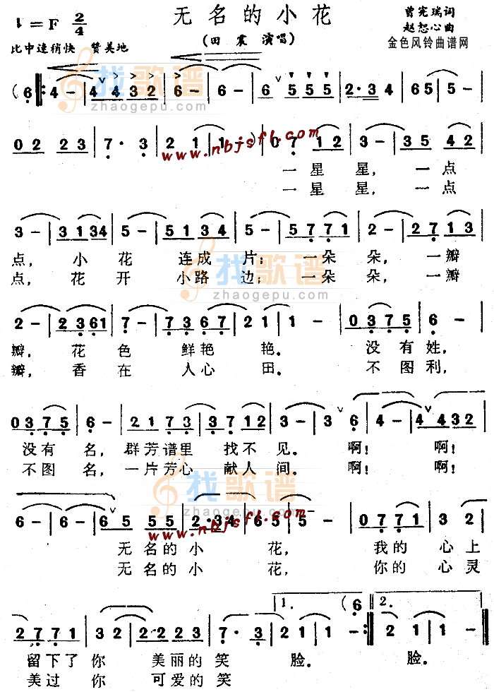 无名的小花