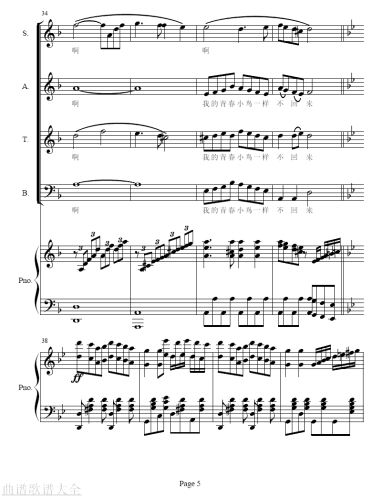 青春舞曲