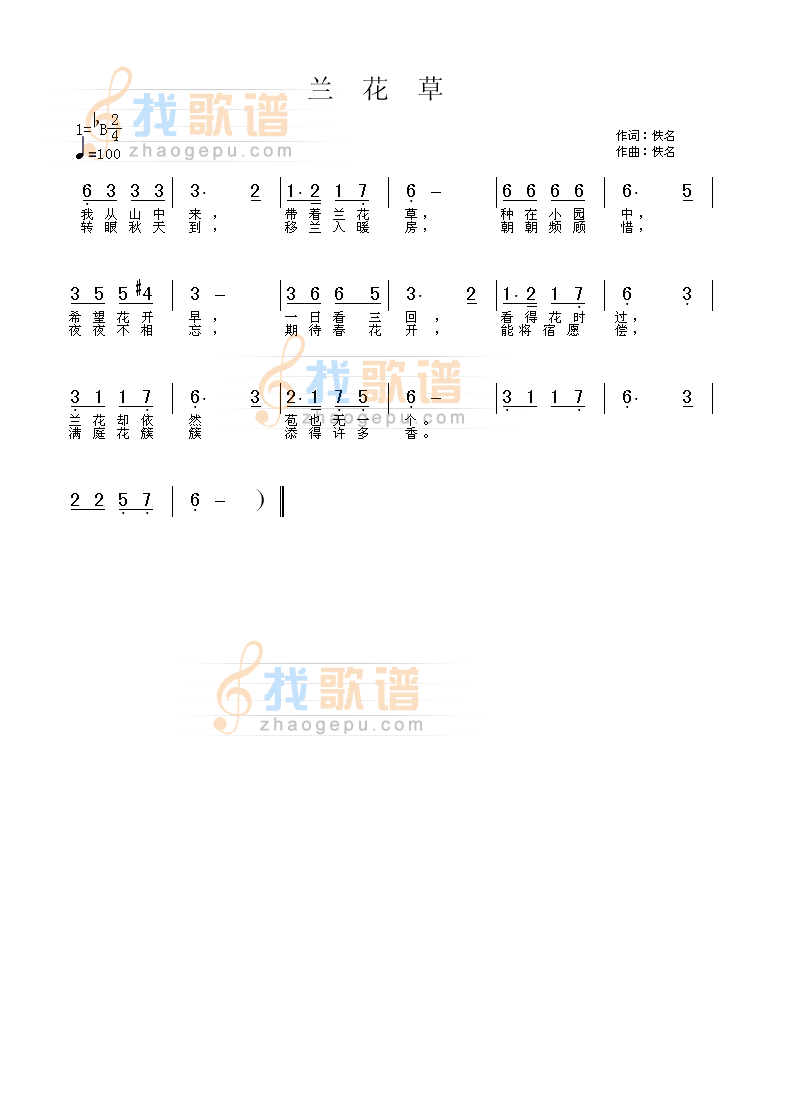 兰花草