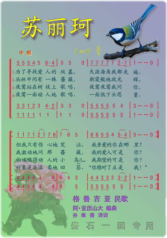 苏丽珂