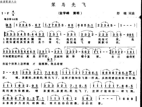 笨鸟先飞