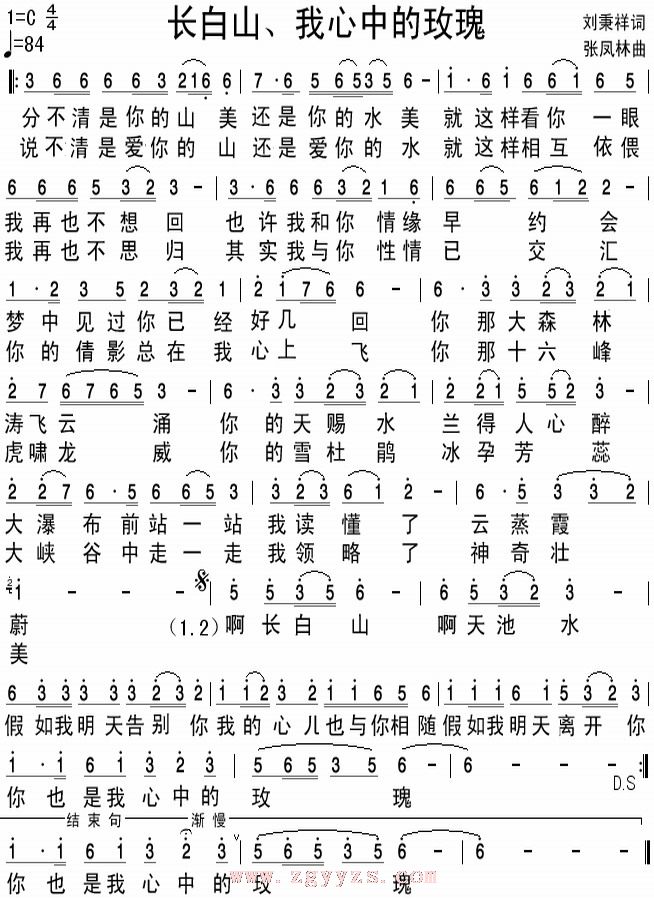 长白山,我心中的玫瑰