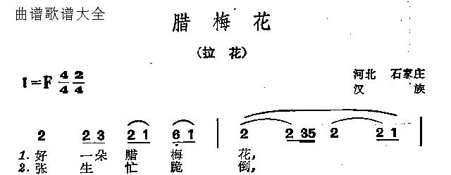 腊梅花