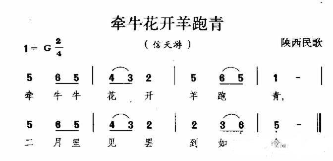 牵牛花开羊跑青 陕西民歌