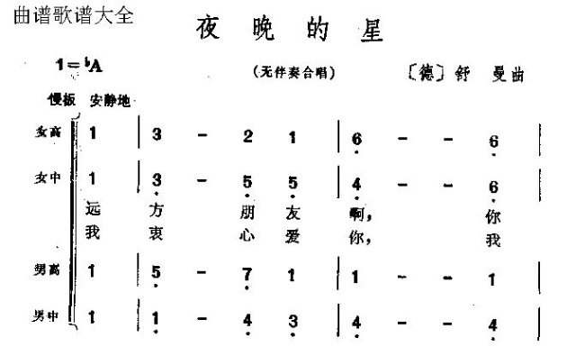 夜晚的星