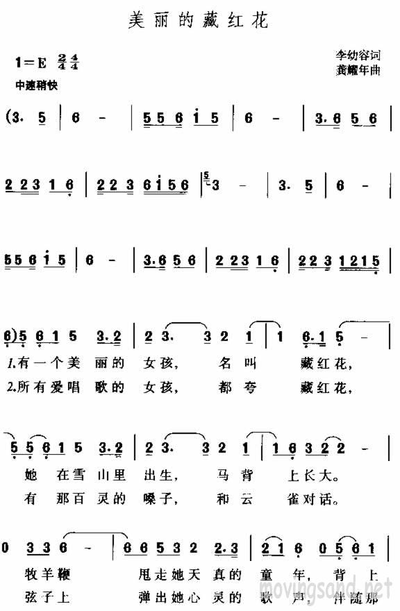 美丽的藏红花