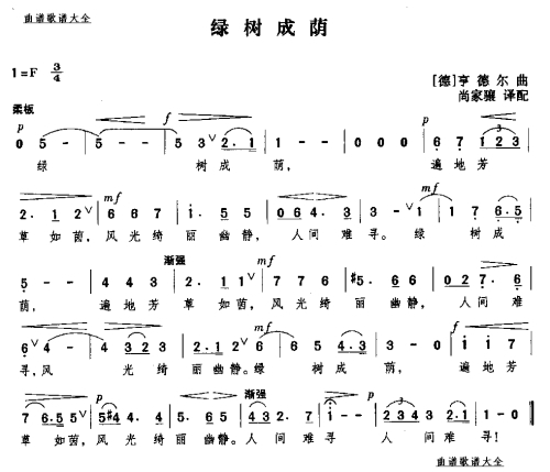 绿树成荫